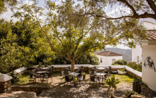 Bar El Castillo (Casares)