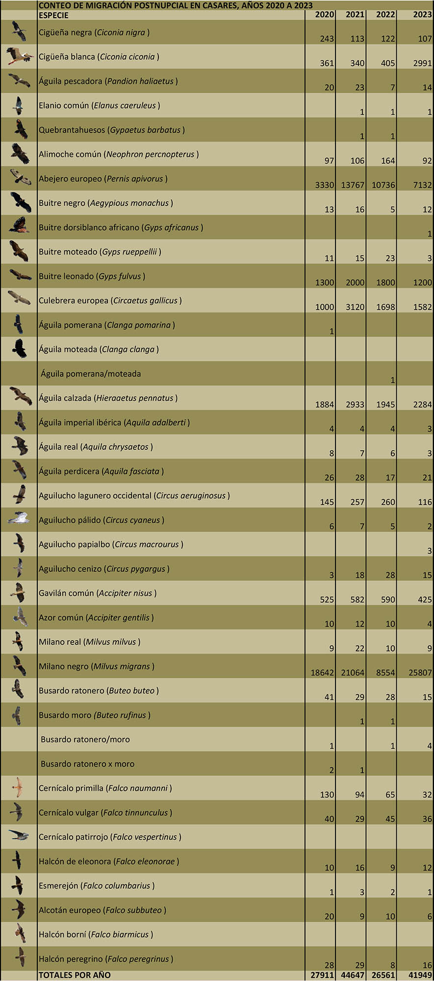 Censo migratorio de aves rapaces en t.m. de Casares en 2023