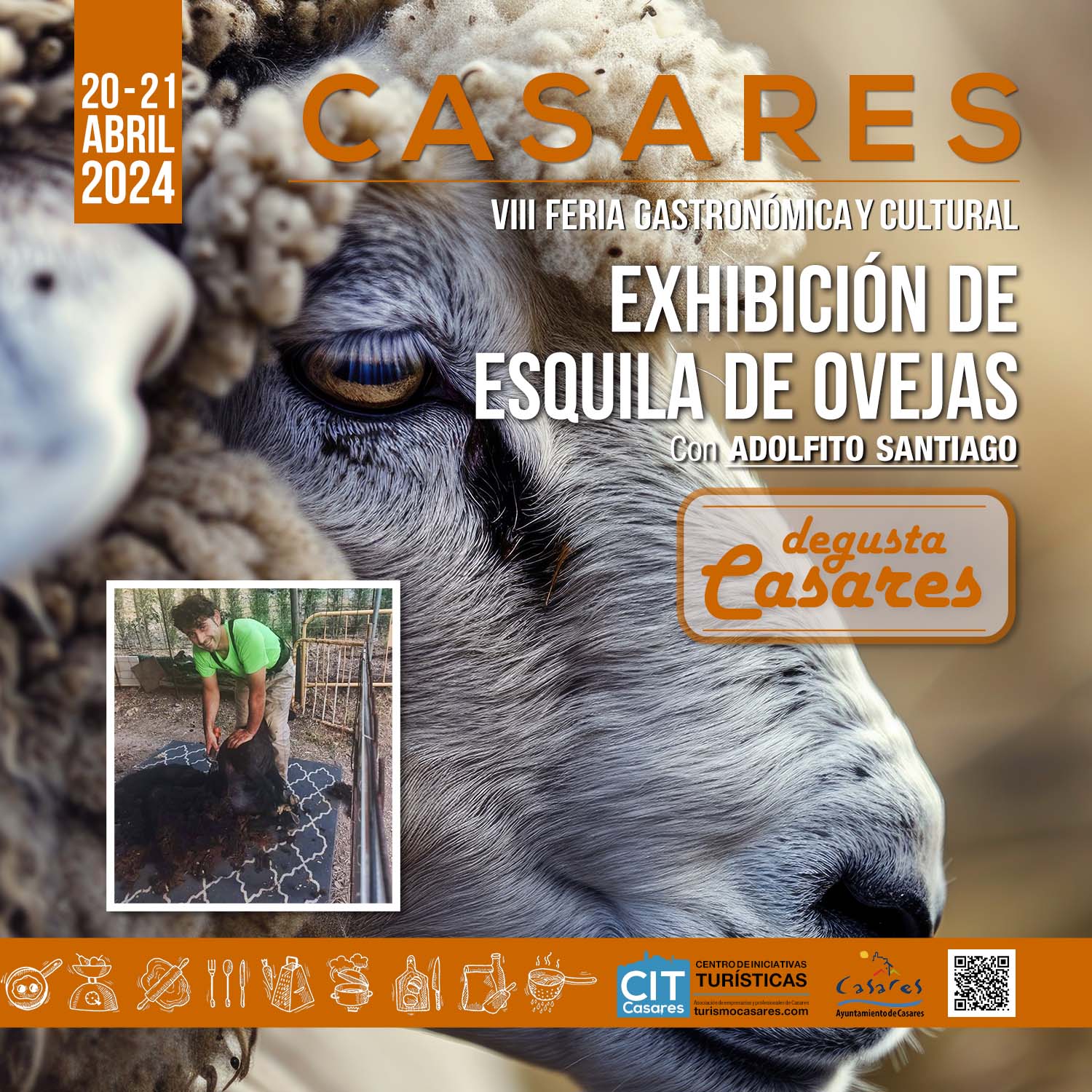 Exhibición de esquila de ovejas