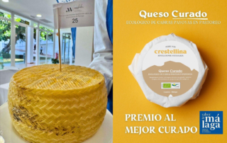 Crestelllina, premiado como mejor queso curado de Málaga 2025